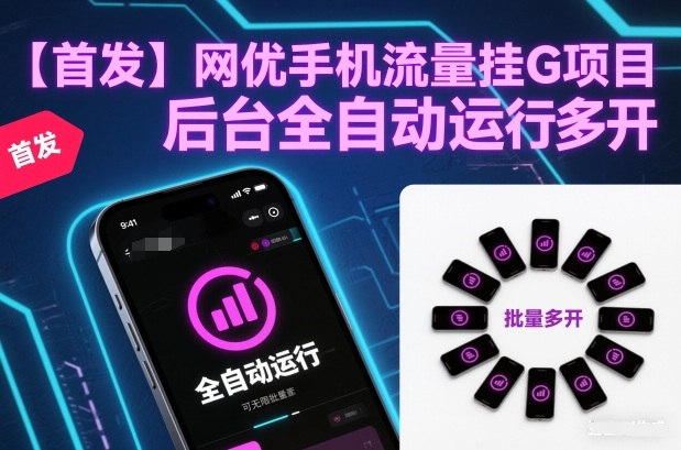 【首发】网优手机流量挂G项目,后台全自动运行,可无限批量多开【揭秘】-小目标云网创