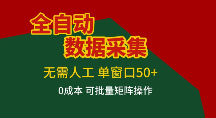 全自动数据采集，无需人工，单窗口50+，0成本可批量矩阵操作【揭秘】-小目标云网创