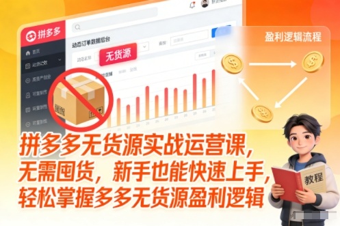 拼多多无货源实战运营课,无需囤货,新手也能快速上手,轻松掌握多多无货源盈利逻辑-小目标云网创