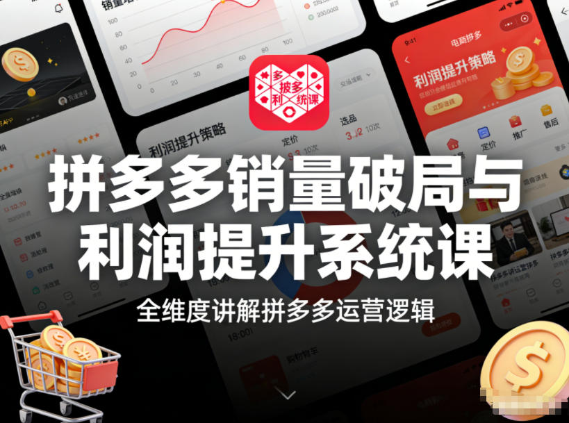 拼多多销量破局与利润提升系统课,全维度讲解拼多多运营逻辑-小目标云网创