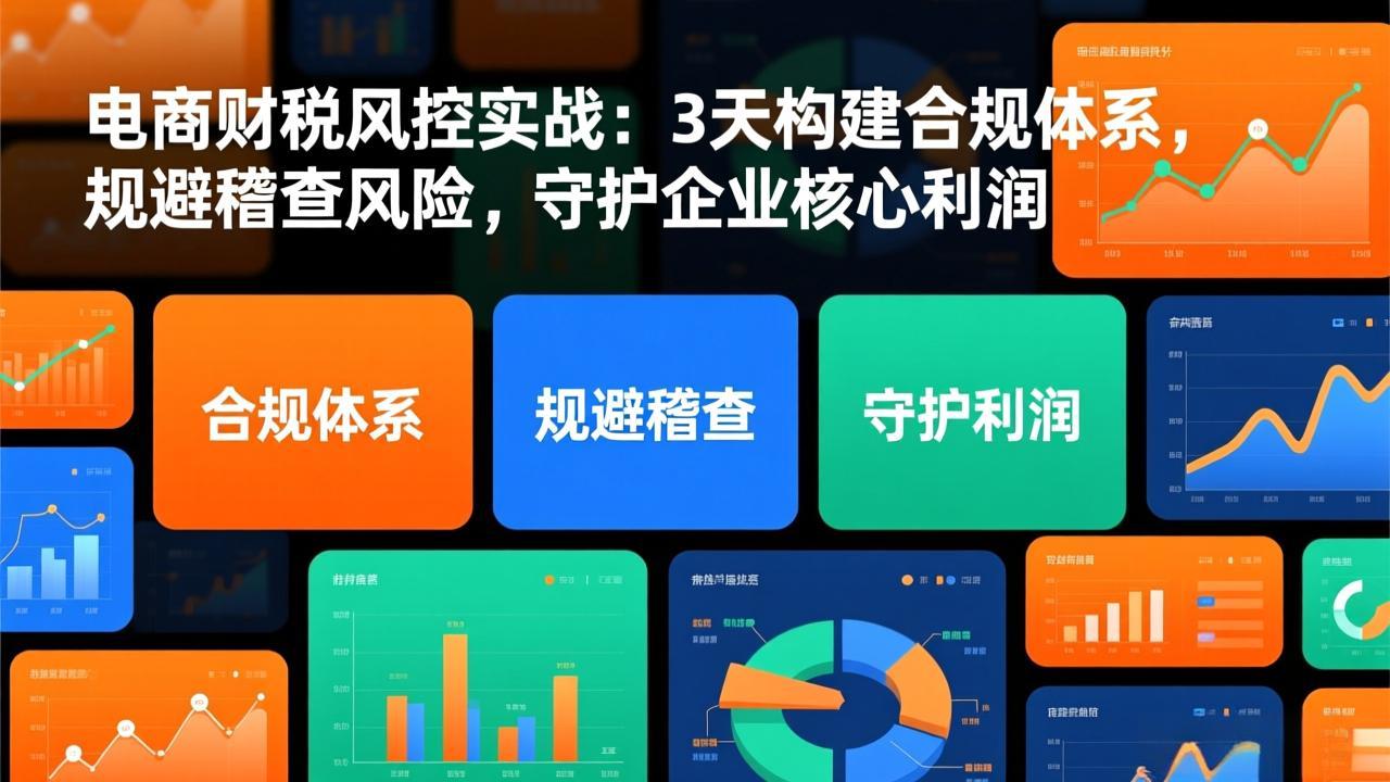 电商财税风控实战:3天构建合规体系,规避稽查风险,守护企业核心利润-小目标云网创